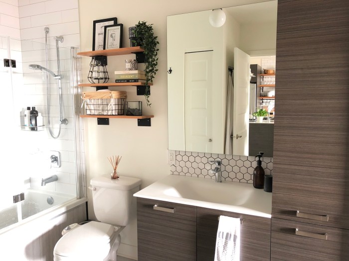 Farmhouse bathrooms remodel